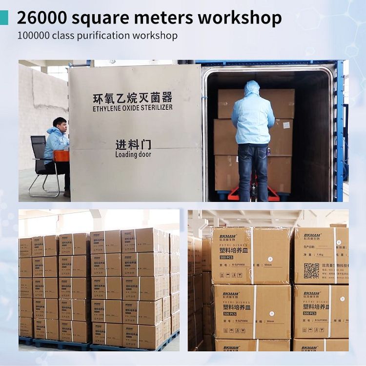 plastic filter tips factory(001)